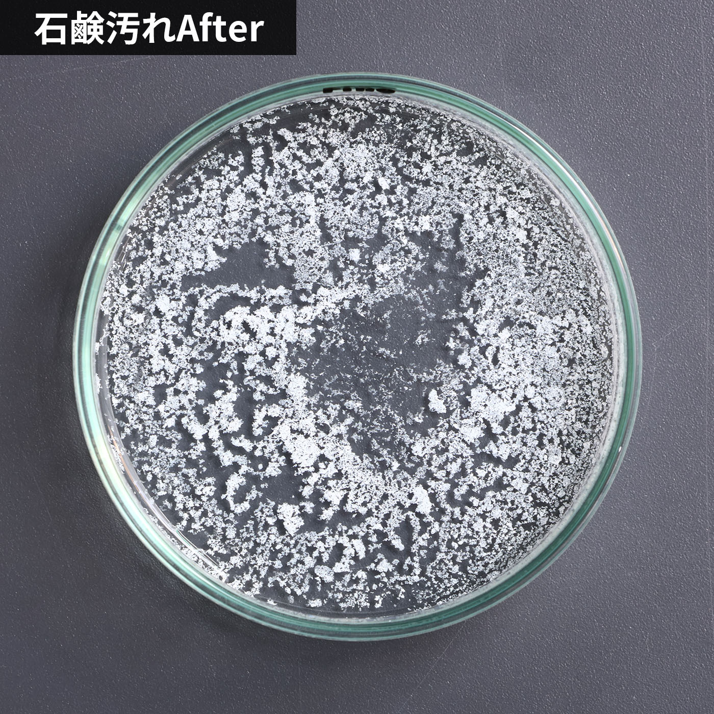 液体洗濯槽クリーナー 6