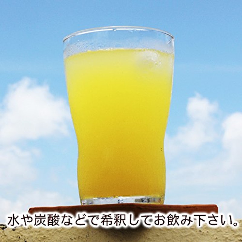 JAおきなわシークヮーサー100 2
