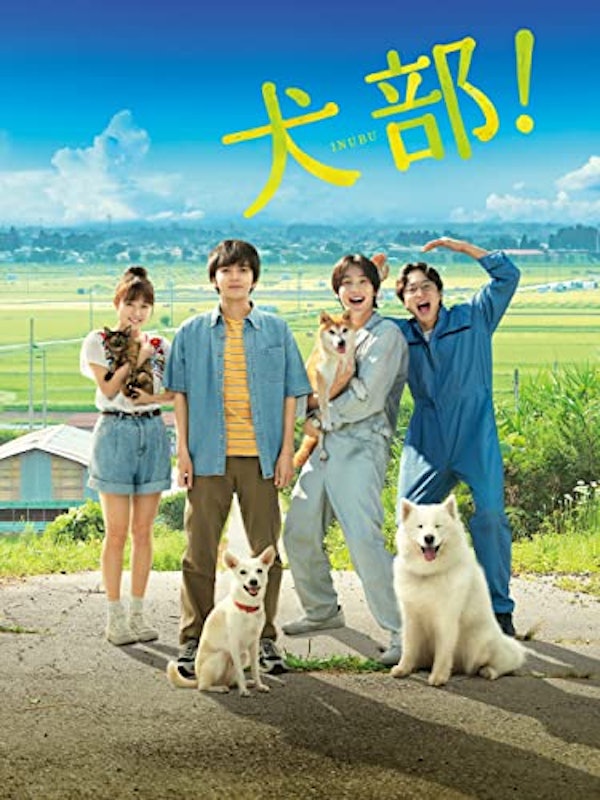 犬部! 1