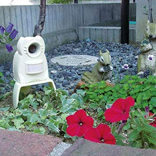 21年 猫よけグッズのおすすめ人気ランキング11選 Mybest