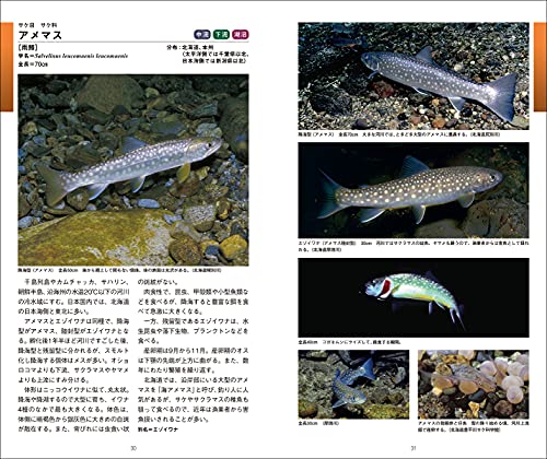 日本の淡水魚図鑑 2