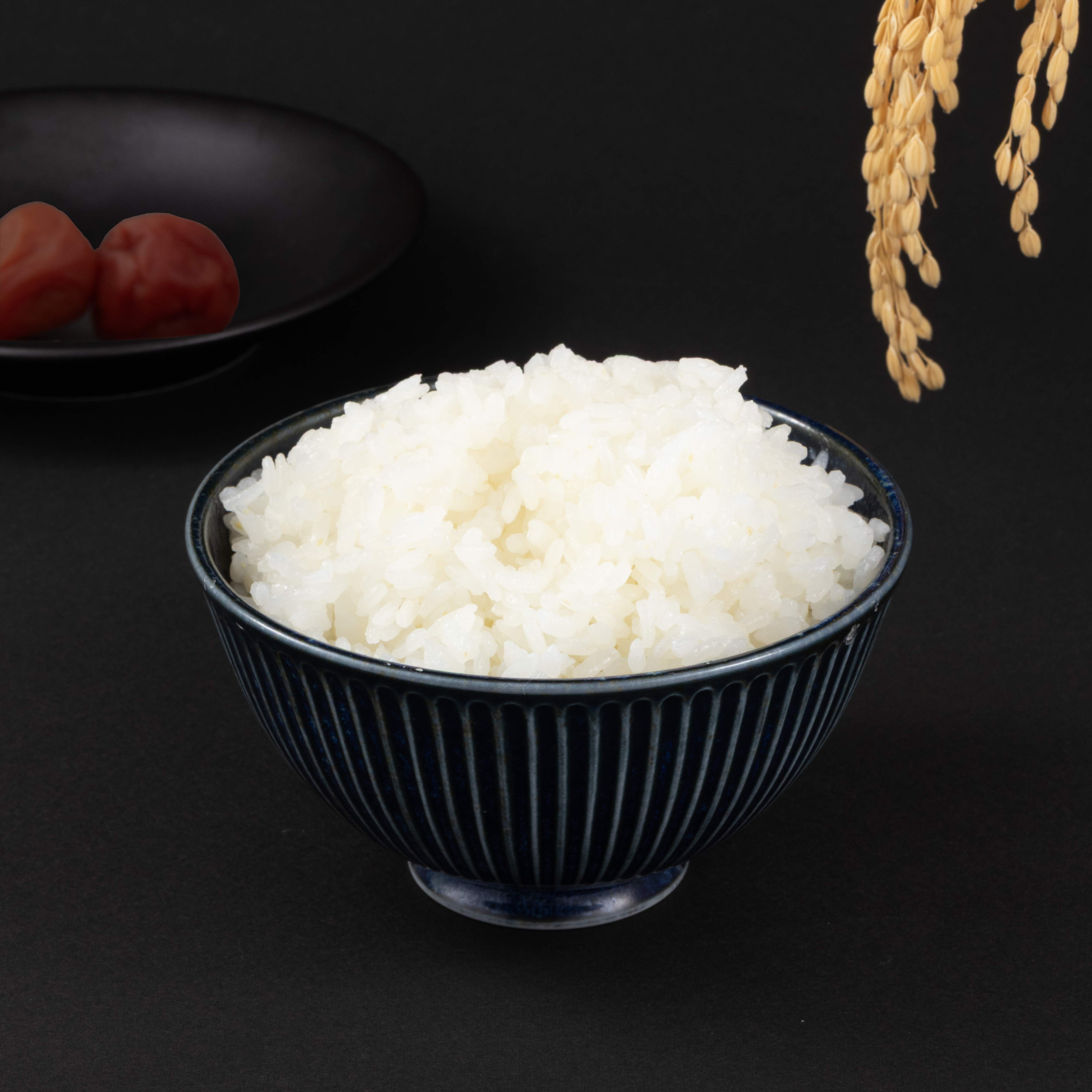 バルミューダ BALMUDA The Gohan K08A-BKを検証レビュー！炊飯器の