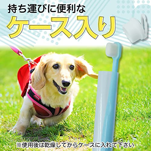 歯ブラシ 6