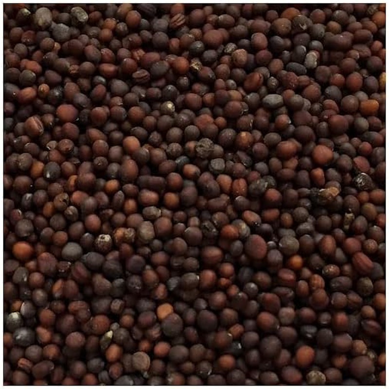 有機ブラックマスタードシード 2