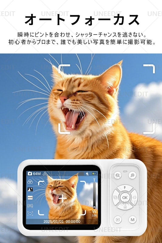 デジタルカメラ 8