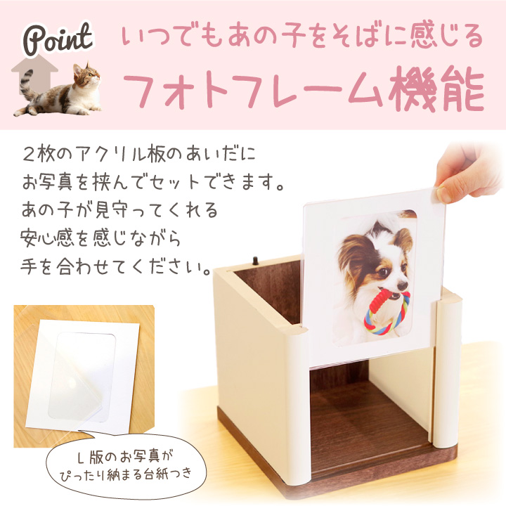 クリメイションハウス 虹の橋のおうち 12