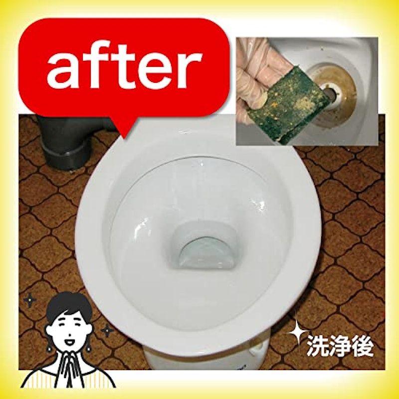 トイレ職人 4