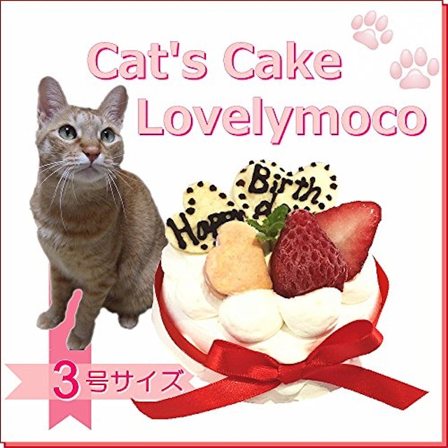 猫用ケーキのおすすめ人気ランキング5選 Mybest