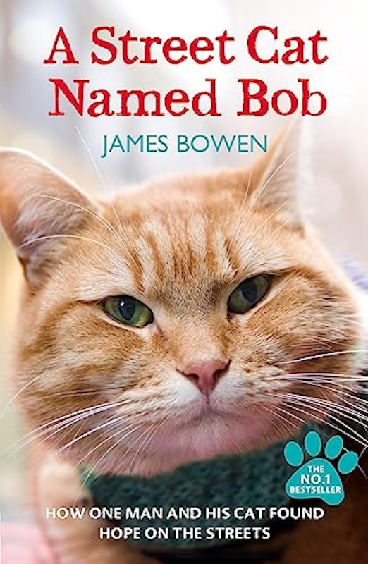 A Street Cat Named Bob 1