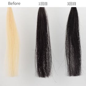 利尻 ヘアカラートリートメント ブラック 6個セット 自然派clubサスティ 利尻ヘアカラートリートメント ブラックを