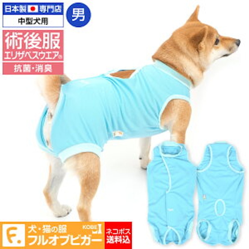 犬用術後服エリザベスウエア 1