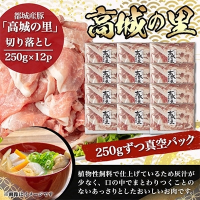 都城産豚「高城の里」切り落とし 2