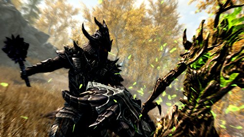 The Elder Scrolls V: Skyrim Special Edition 5
