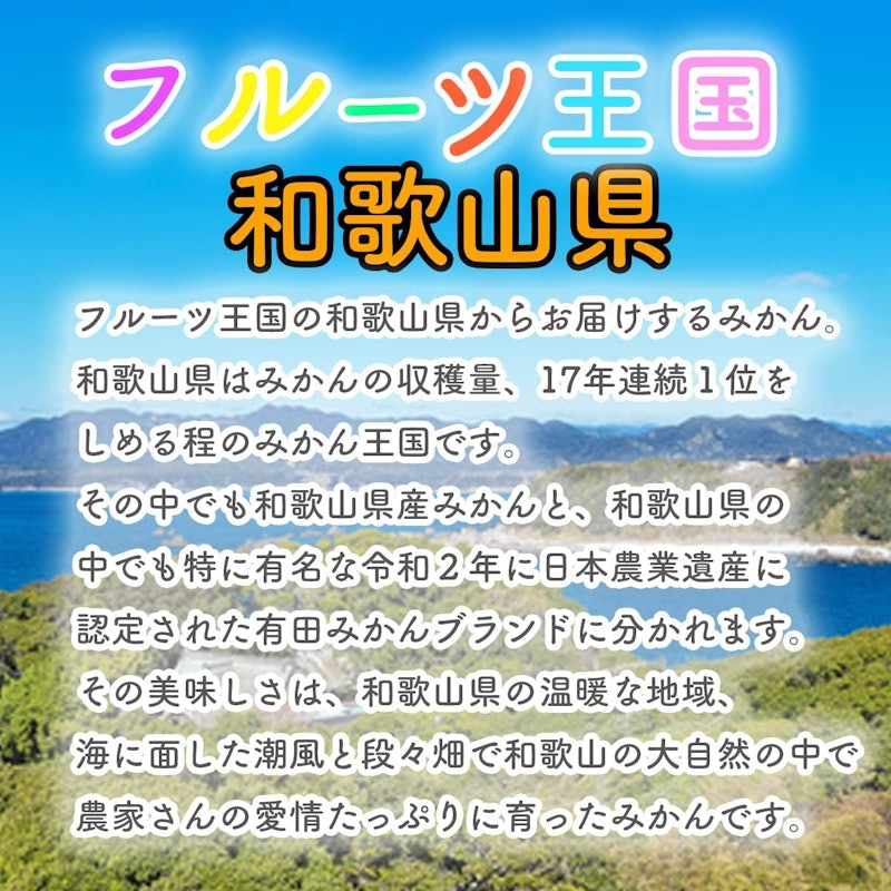 有田みかん 秀品 2