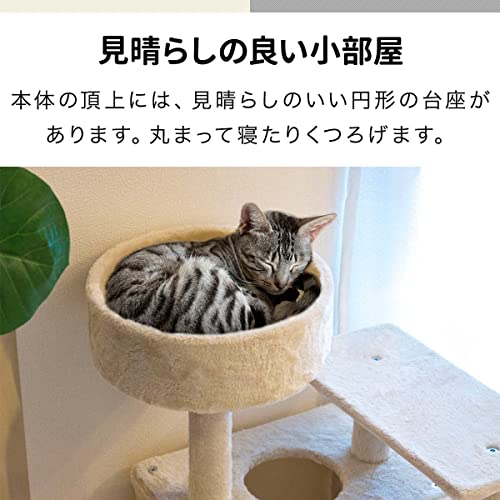 キャットタワー 5