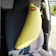 ジョイフル シートベルトカバー クッション バナナ 1