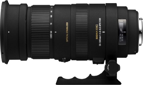 APO 50-500mm F4.5-6.3 DG OS HSM 1