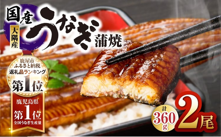 鹿児島県大隅産 うなぎ蒲焼 1