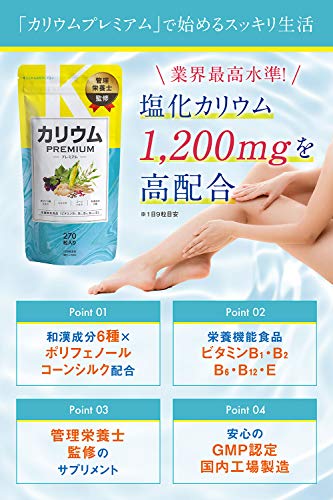 828円 セール品 パーフェクトカリウム カリウム サプリメント 1215mg 乳酸菌 塩化カリウム カルニチン ビタミン ポリフェノール クエン酸 生姜 日本 828円 セール品 パーフェクトカリウム カリウム サプリメント 1215mg 乳酸菌 塩化カリウム カルニチン ビタミン ポリフェノール クエン酸 生姜 日本
