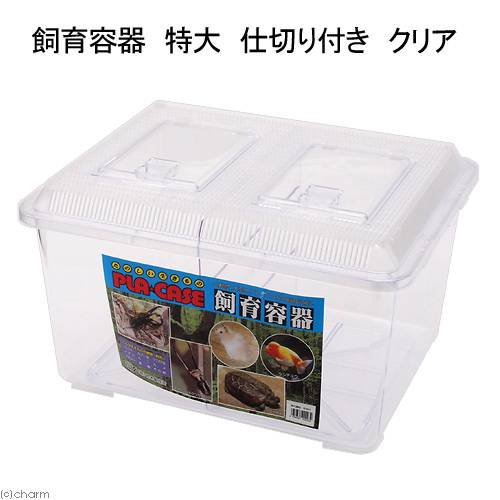 21年 ザリガニの飼育におすすめの水槽のおすすめ人気ランキング10選 Mybest