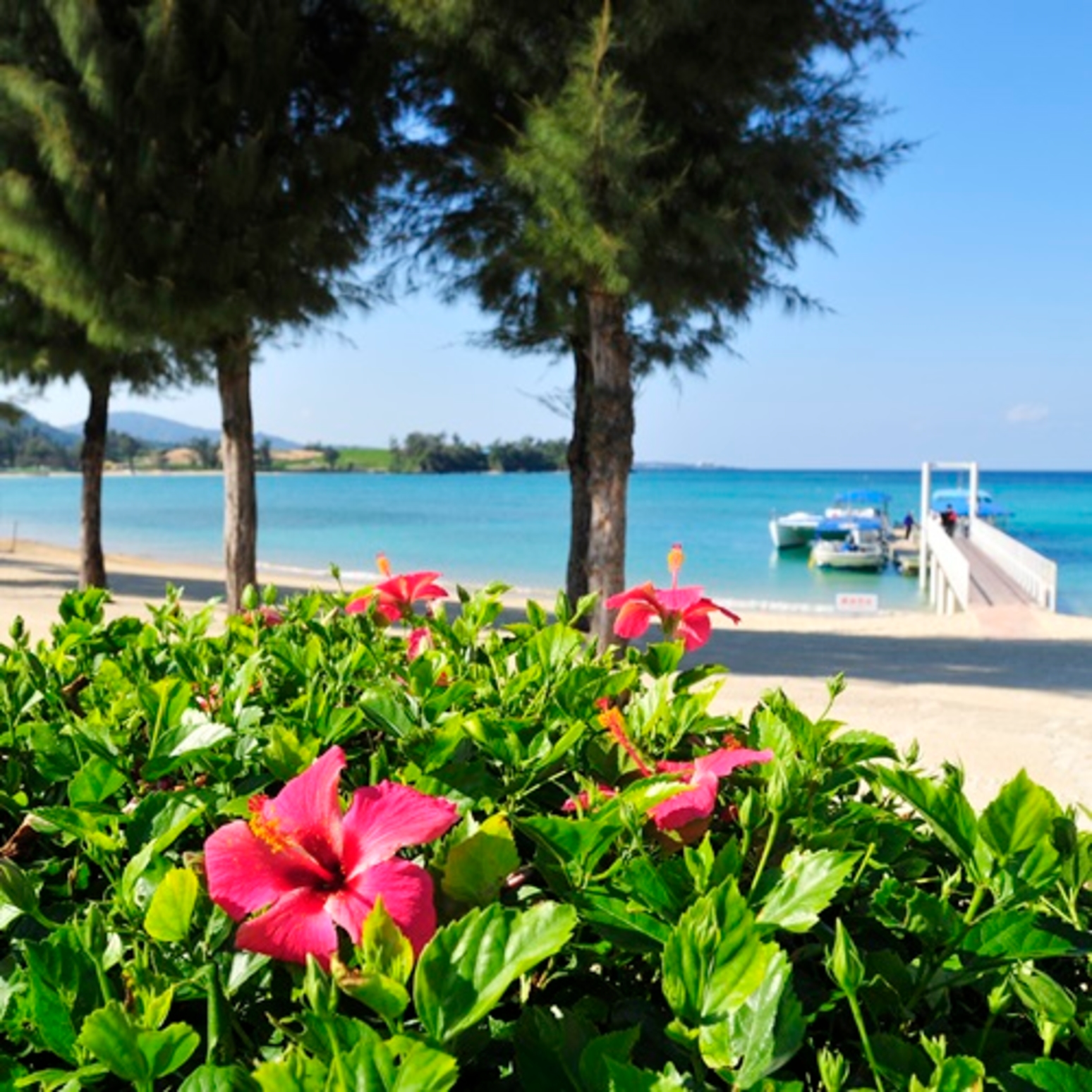 KARIYUSHI LCH.RESORT on The Beach 2