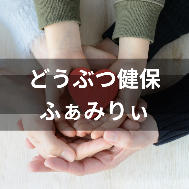 21年 うさぎにおすすめのペット保険のおすすめ人気ランキング4選 Mybest