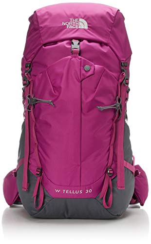THE NORTH FACE テルス30 レディース 3