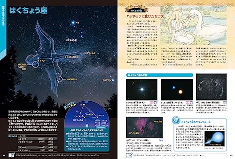 星と星座 新版 2