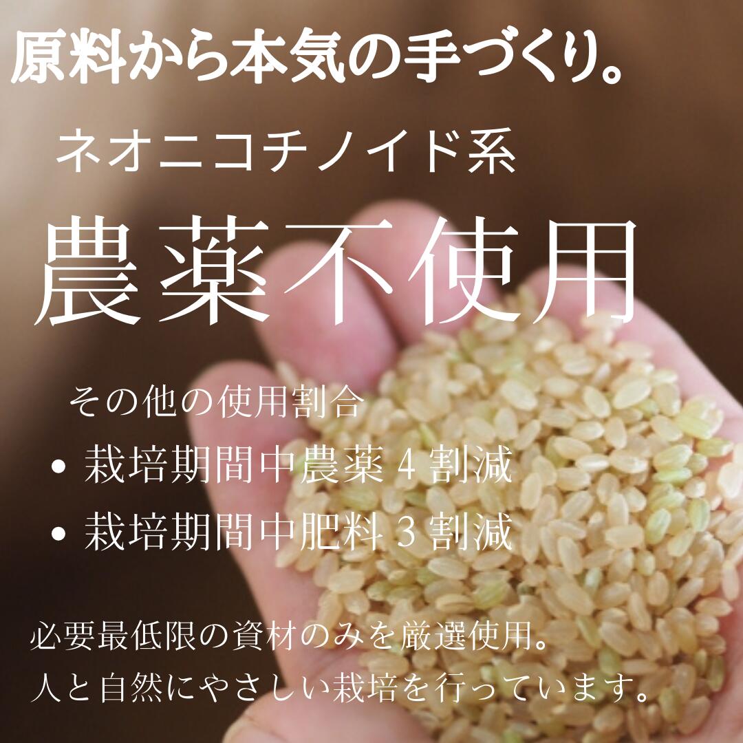 三重県産 カグラモチ 2