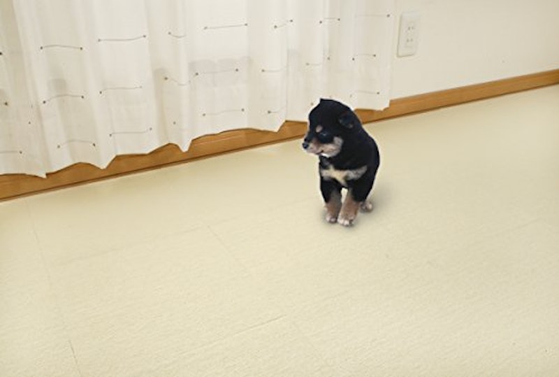 22年 犬用フローリングマットのおすすめ人気ランキング11選 Mybest 22年 犬用フローリングマットのおすすめ人気ランキング11選 Mybest