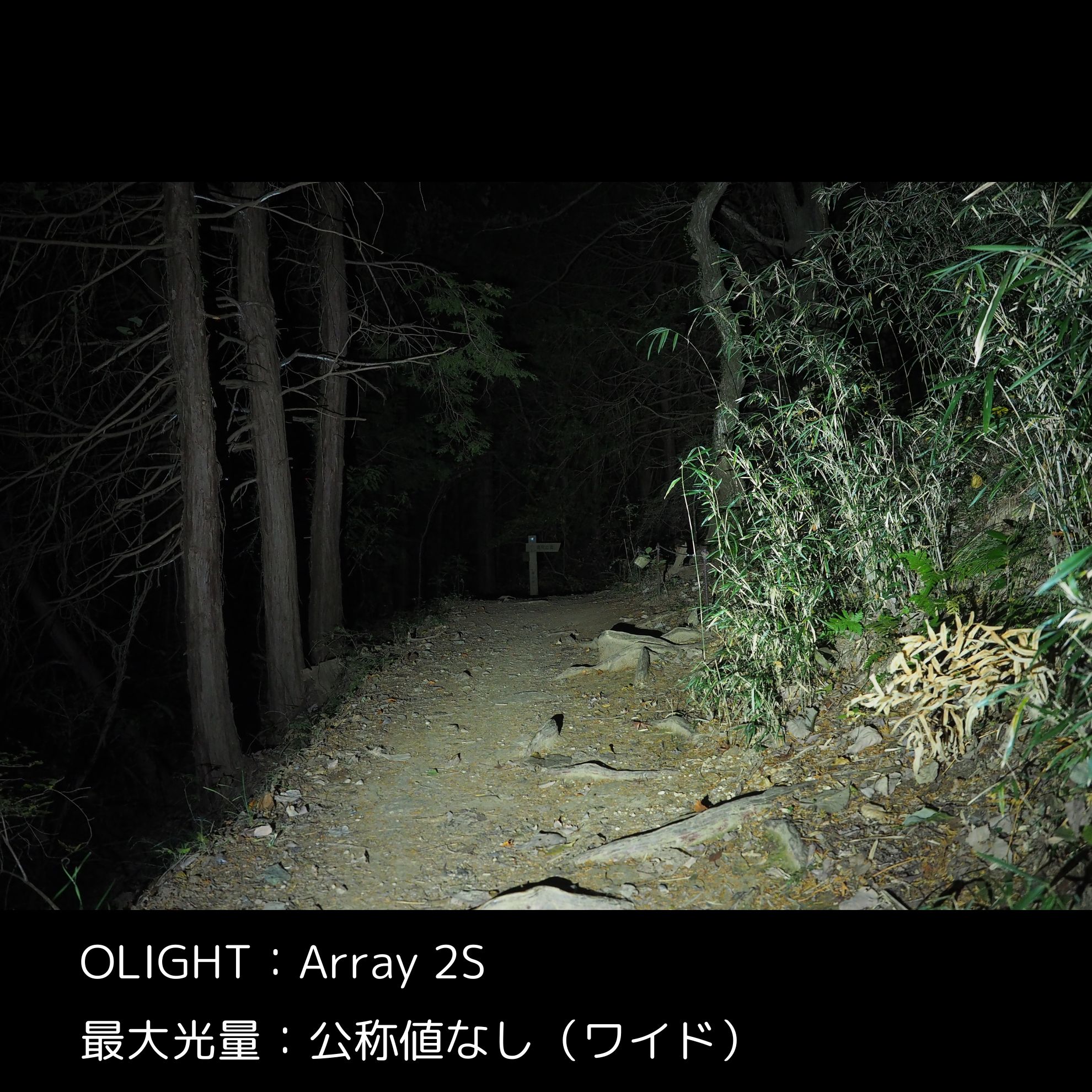 Array 2S 4