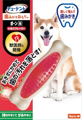 デンタルボーン 1