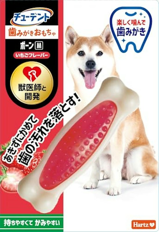 デンタルボーン 1