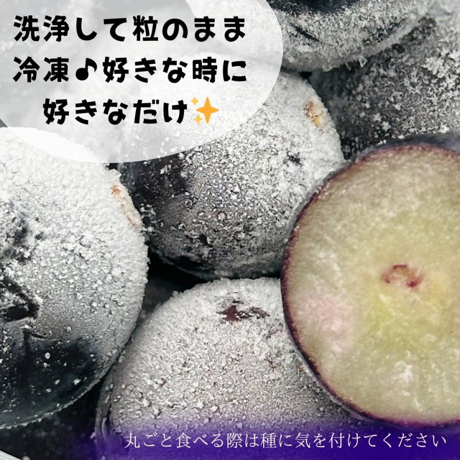 冷凍 種あり巨峰 3