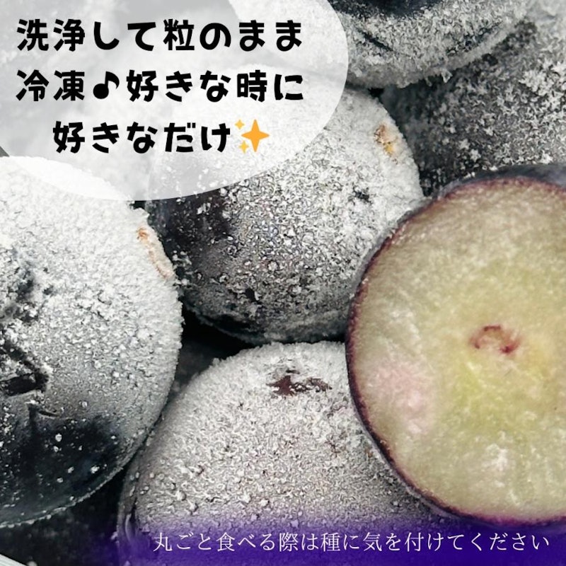 冷凍 種あり巨峰 3