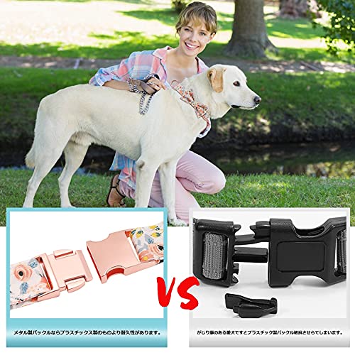 XZQTIVE 犬用首輪 4