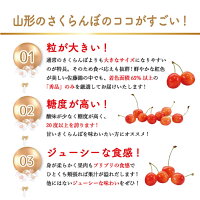 さくらんぼ 4