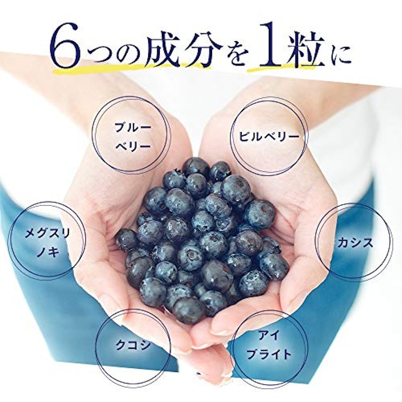 ブルーベリー 3