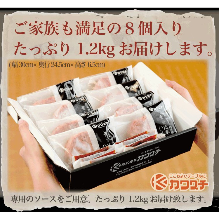 黄金比率ハンバーグ 2
