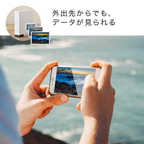 LAN DISK ネットワークハードディスク 4