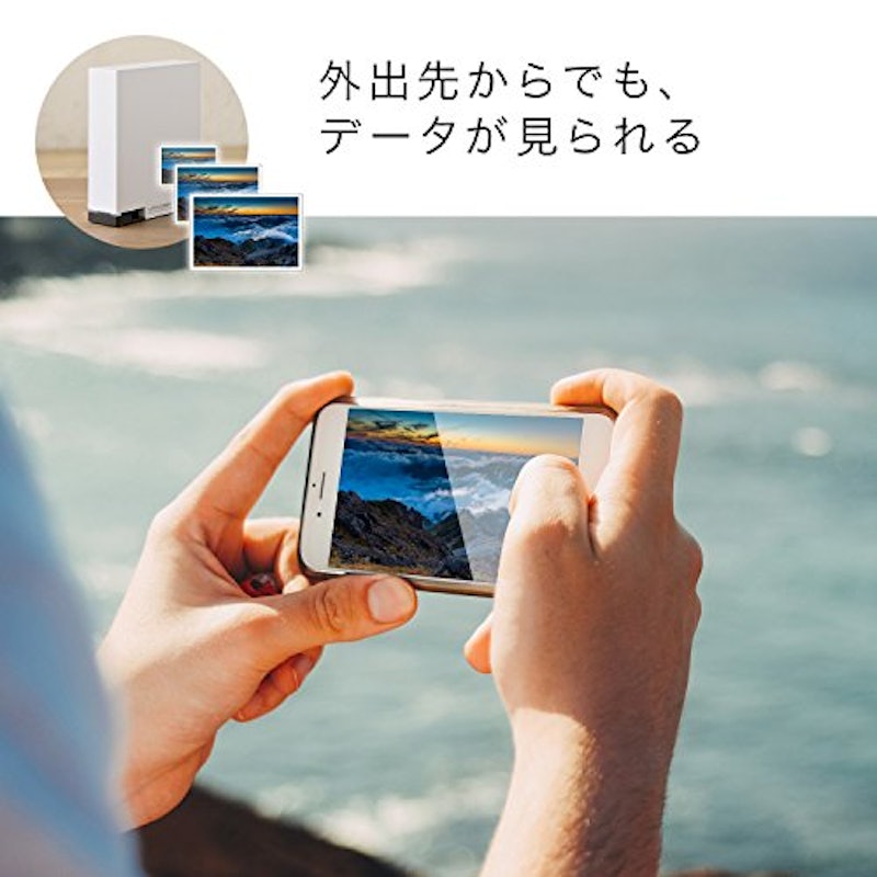 LAN DISK ネットワークハードディスク 4