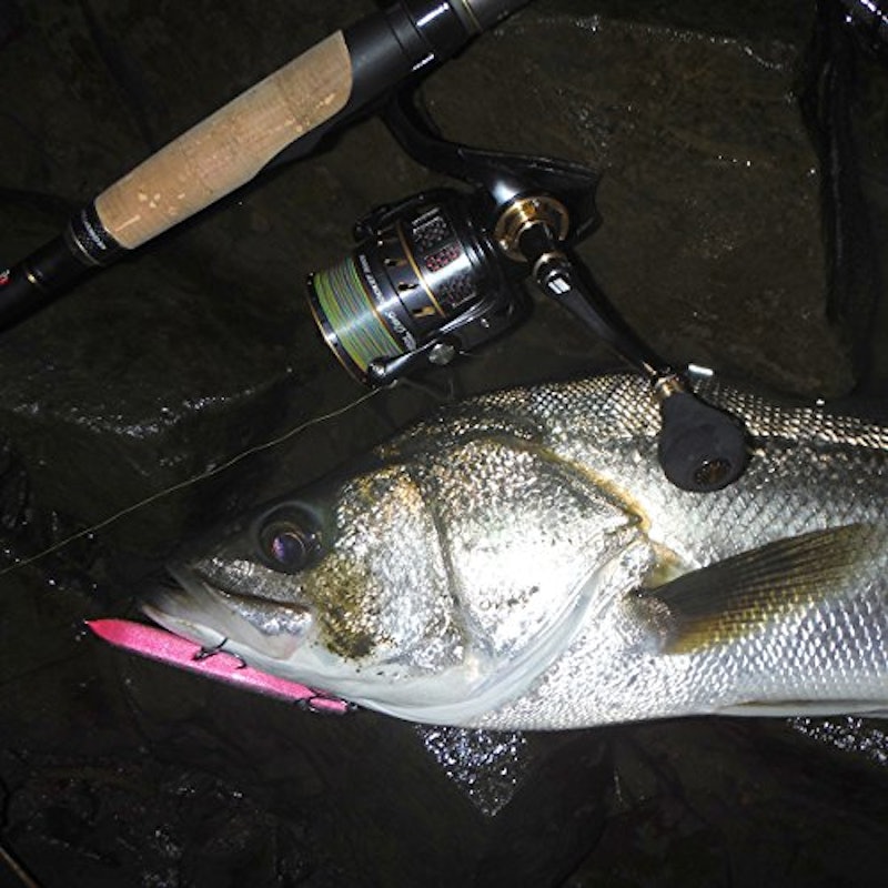 Revo Rocket 2500MS 7