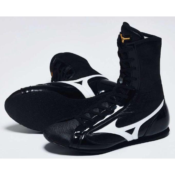 フィニッシャーMID 1