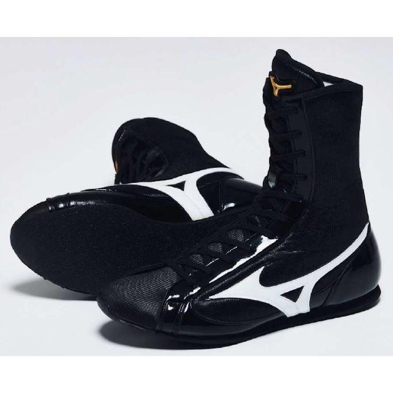 フィニッシャーMID 1