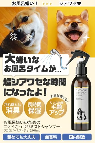 フコロジーミストデオ 2