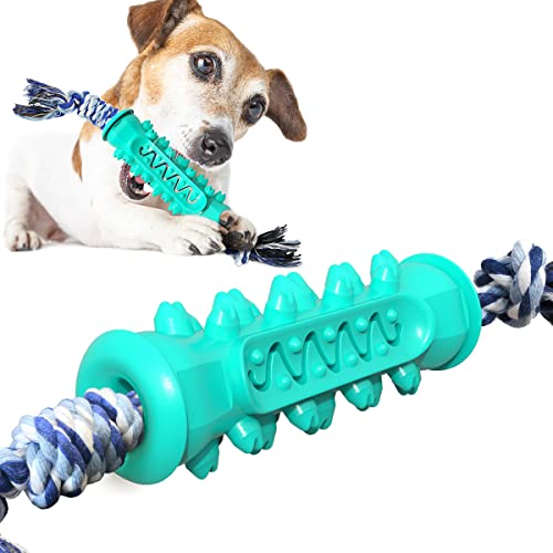 2022年】犬用歯磨きおもちゃのおすすめ人気ランキング47選 | mybest