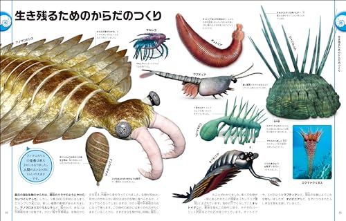 改訂版　恐竜と古代の生き物図鑑 3