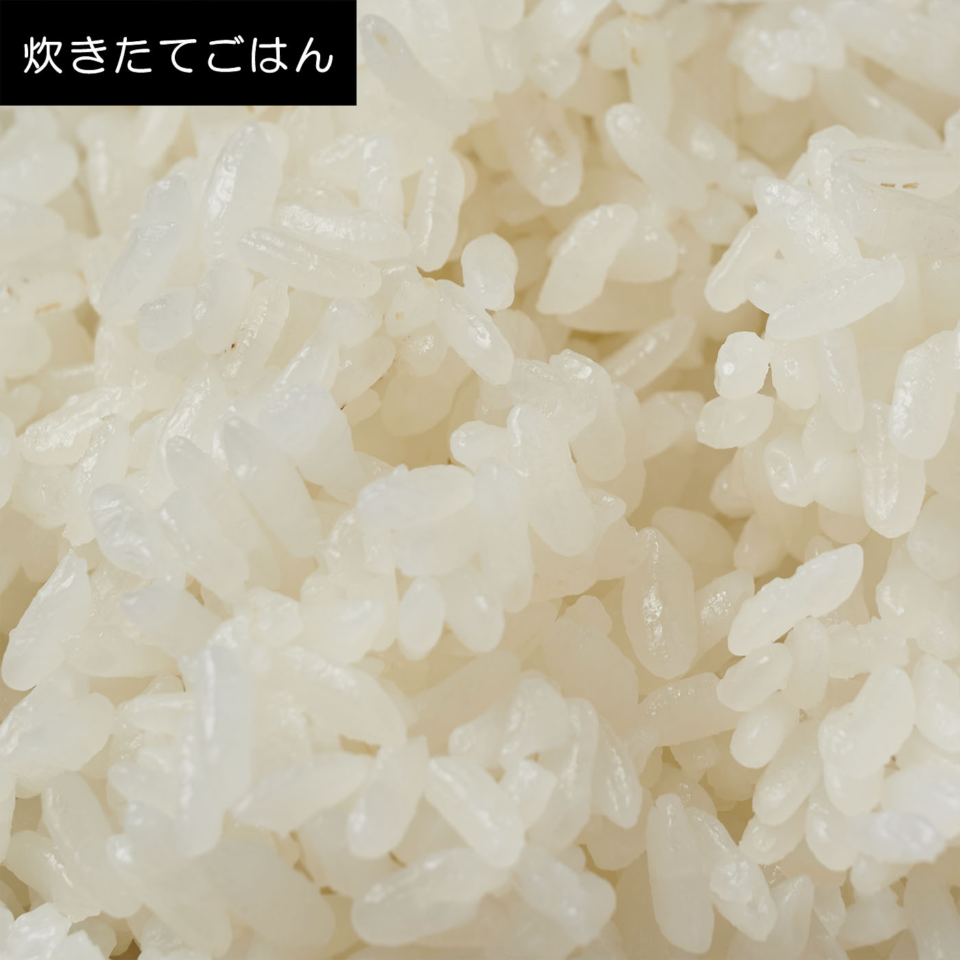 IHジャー炊飯器 10