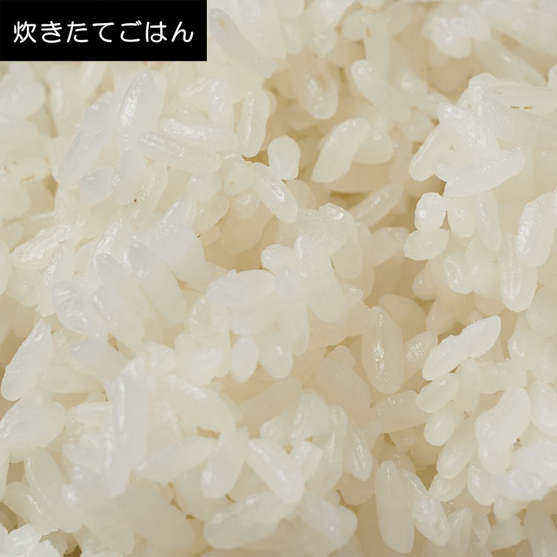 IHジャー炊飯器 10