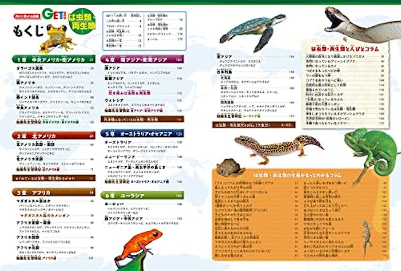 角川の集める図鑑GET! は虫類・両生類 2